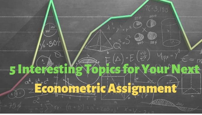 Econometric Assignment Topic
